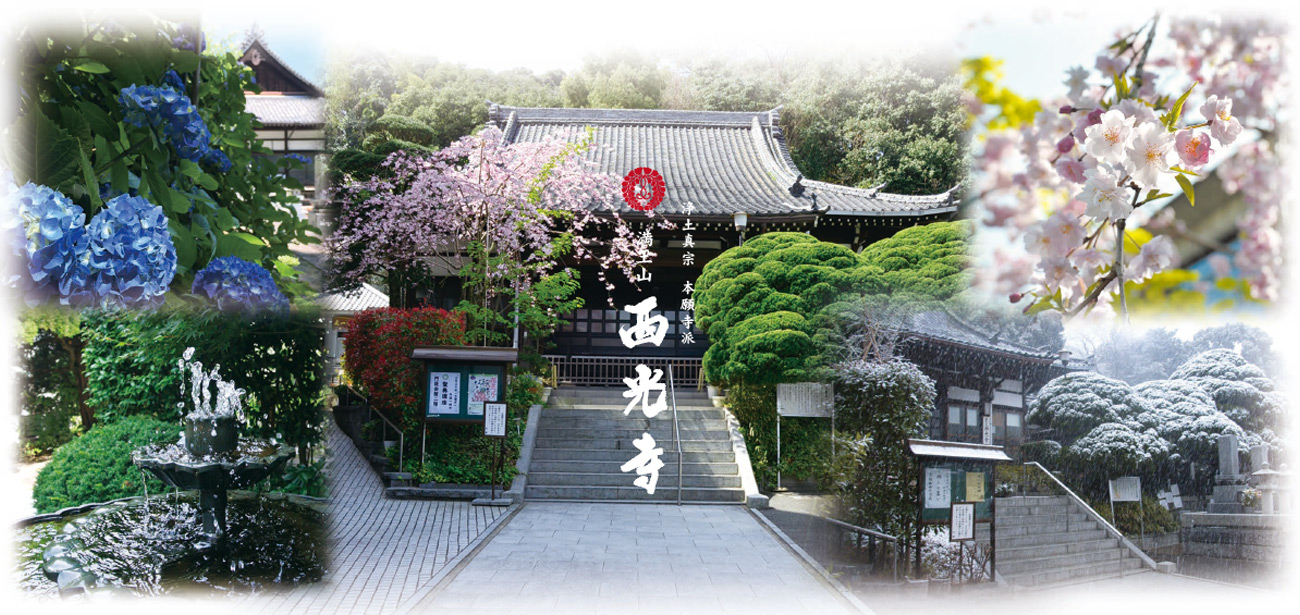 西光寺の四季・年間行事