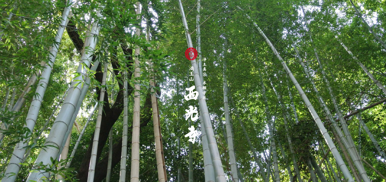 浄土真宗本願寺派　西光寺